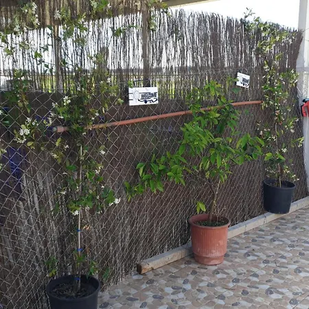 Hotel Sejlor 3*