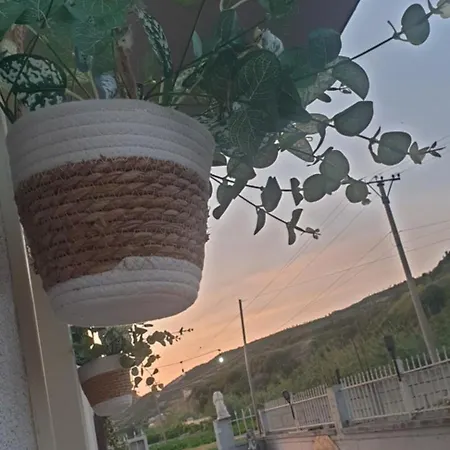 Sejlor Hotel 3*